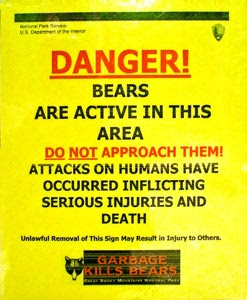 6-bear