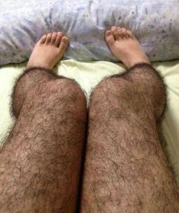 hairy-leg-stockings