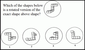 Mental Rotation Task